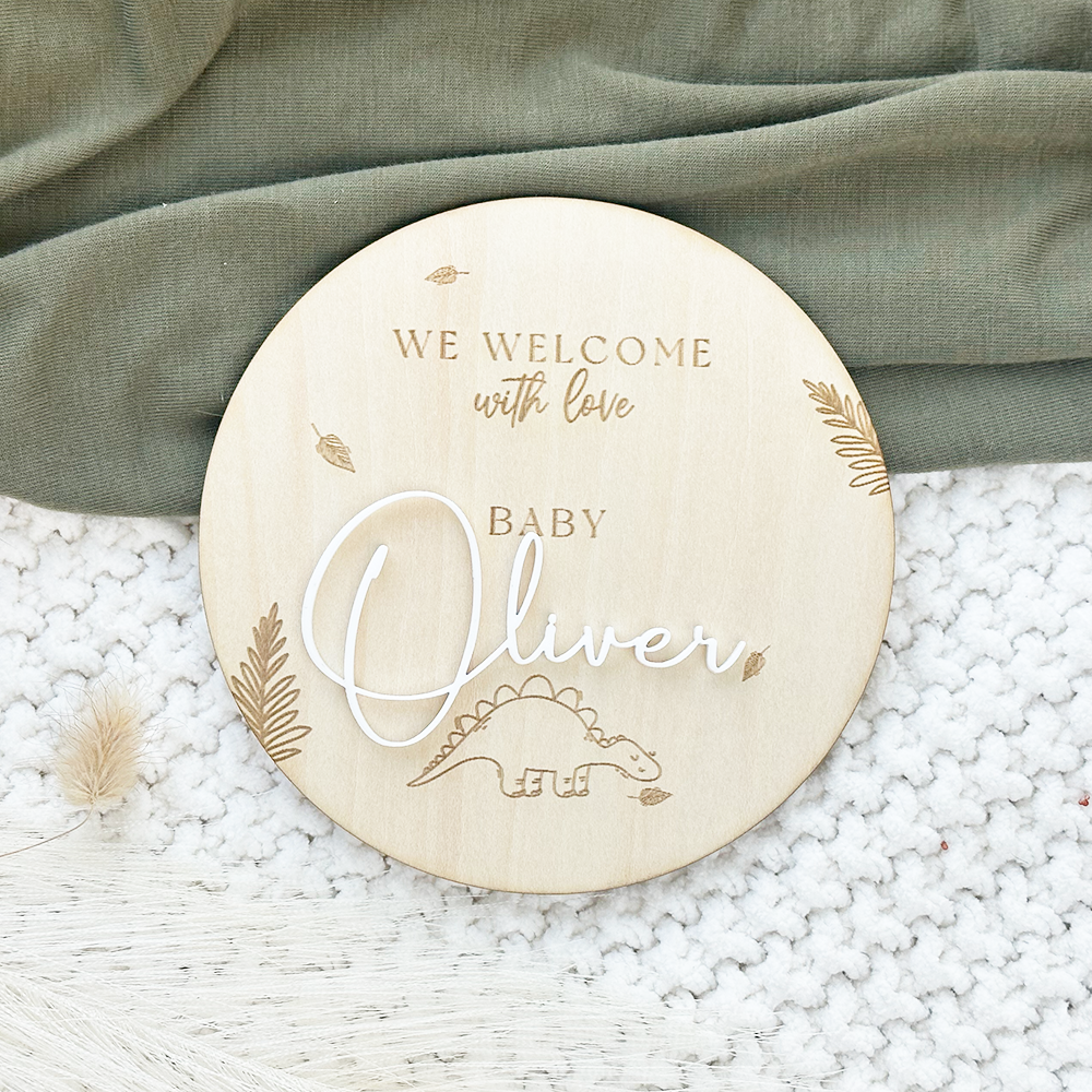 Baby Boy Dinosaur Announcement Sign