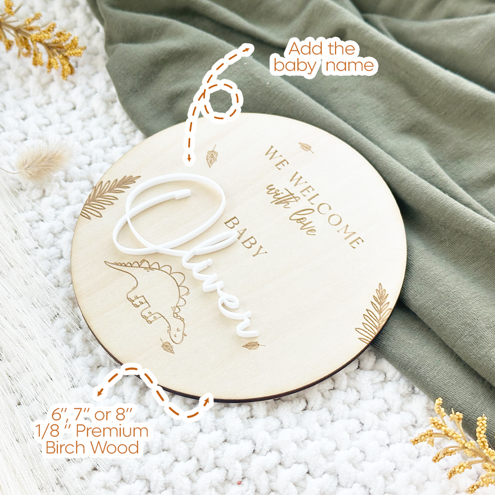 Baby Boy Dinosaur Announcement Sign